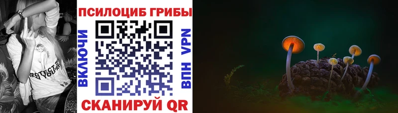наркота  Саров  Галлюциногенные грибы ЛСД 